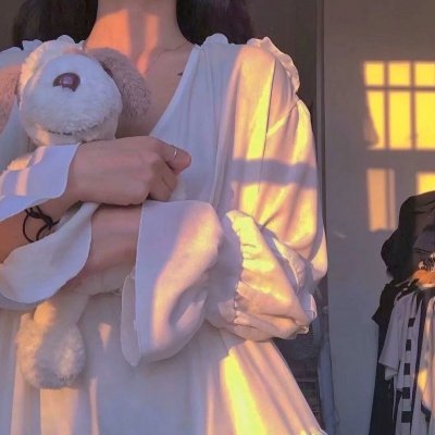 小黄人与格鲁日记